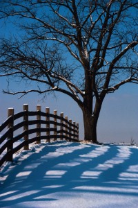 winterize your fence