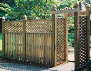 cedar fence