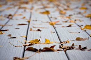 How to Keep Your Deck from Dry Rotting