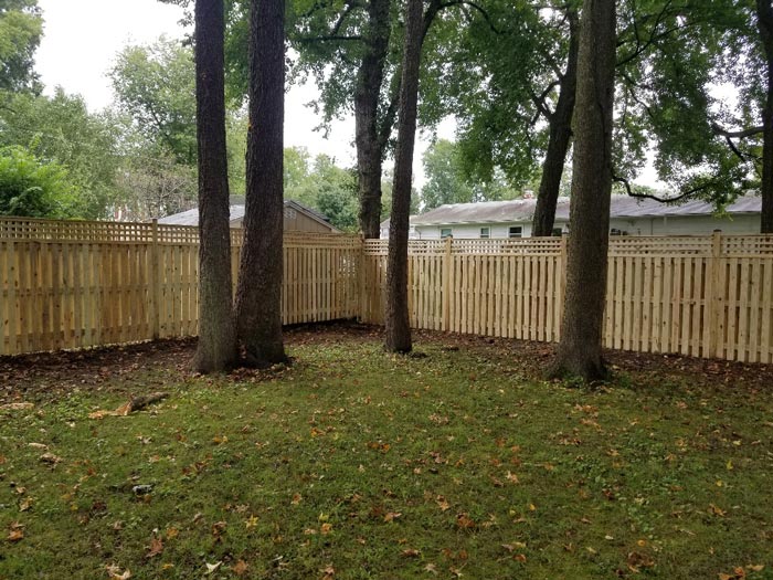 fenced yard with trees