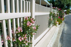 Fences vs. Plants: Which is a Better Border?