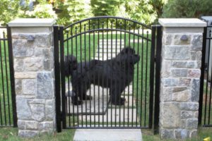 Types of Fence Gates