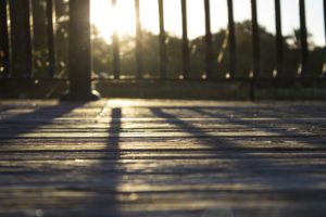 How to Keep Animals from Under Your Deck