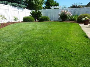 Vinyl Fences in Severna Park, Maryland