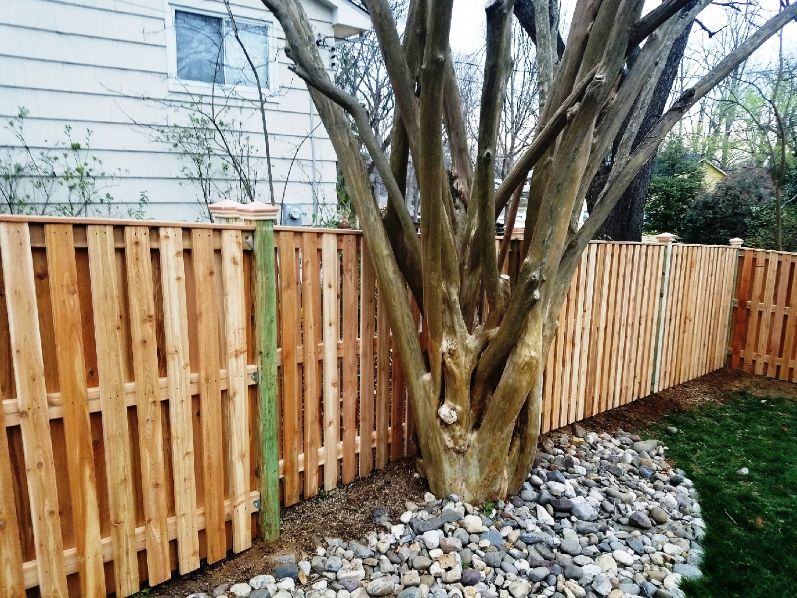 Have a large tree in the way and do not want to remove it. No problem we have several options available to build around trees. This solution did the trick.