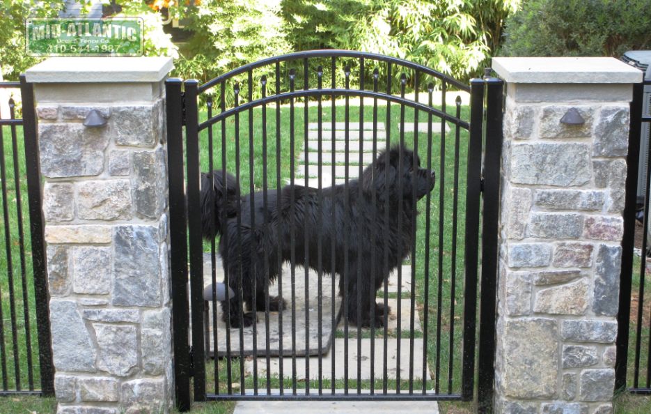 Wonder which one they will choose to keep me safe. Well, this was a great choice, I think he likes it. An ornamental aluminum gate in between stone pillars did the trick.